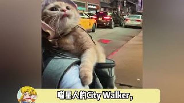 你在哪里哪里就是他的全世界啊