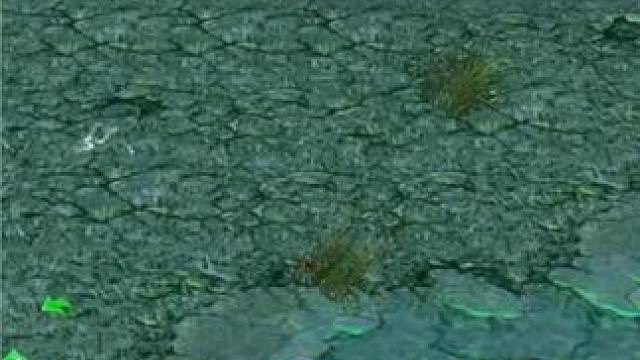 （三）大熊原声大碟，中单亚龙兵线+双野，简直了