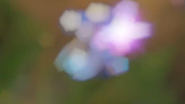 诺手的e技能不要轻易的交