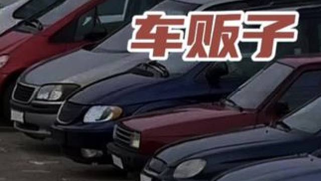 全网最牛车贩子 #新能源领航计划 #带你懂车 #新能源