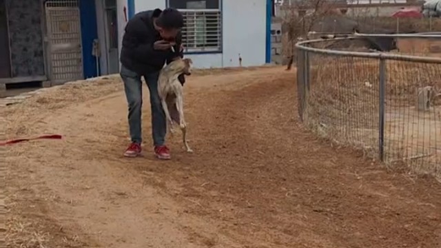 狗子:要不咱俩换换你跑外圈？