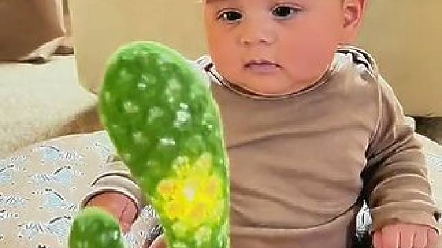 被仙人掌复读玩具拿捏的小baby们 绷不住啦
#这也太萌了 #超级萌娃 #搞笑 #搞笑视频 #人类幼