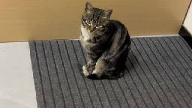 我发布了一个新视频，快来围观吧！