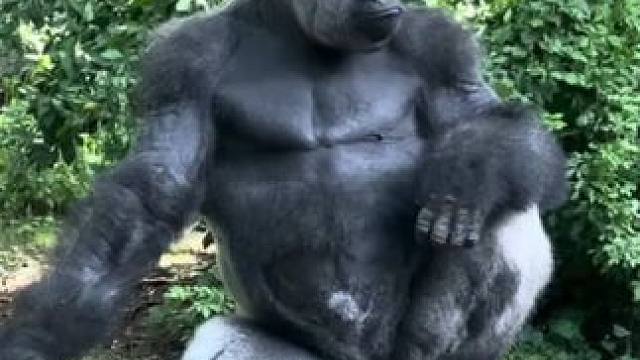 野生动物零距离~