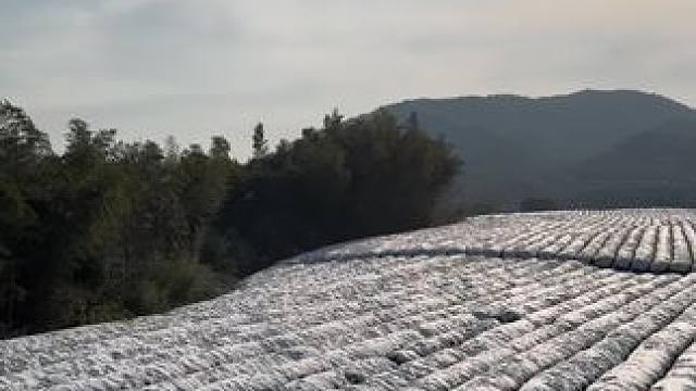 #春天的第一场雪