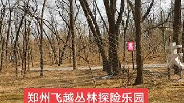 #亲子游玩好去处 #惊险刺激 #探险 #郑州飞越丛林探险乐园