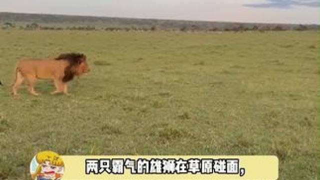 好想加入他们，大家一起排排躺着～哈哈哈