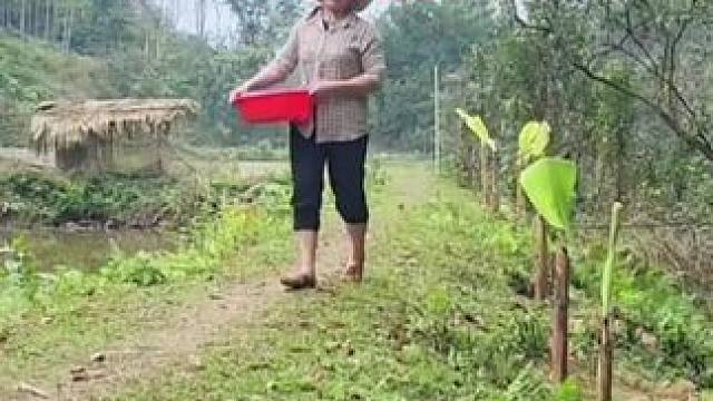 莲娜居然找到工作了#农村生活 #野外生存 #单亲妈妈