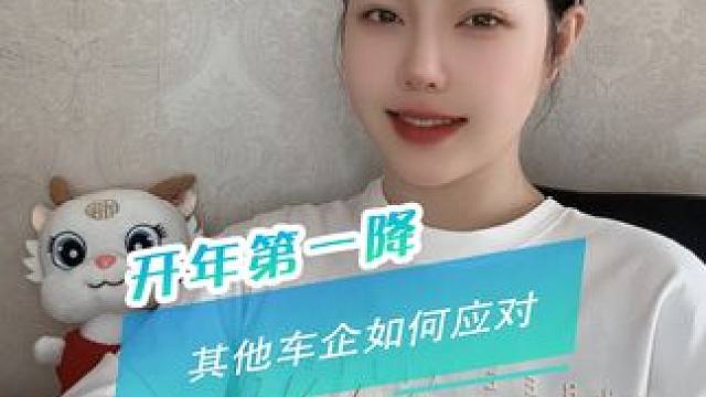 比亚迪开年王炸！想买车的别着急 看看国产新能源还能 怎么卷#比亚迪降价 #新能源汽车 #买车