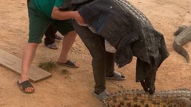 三个逗比，耍鳄鱼