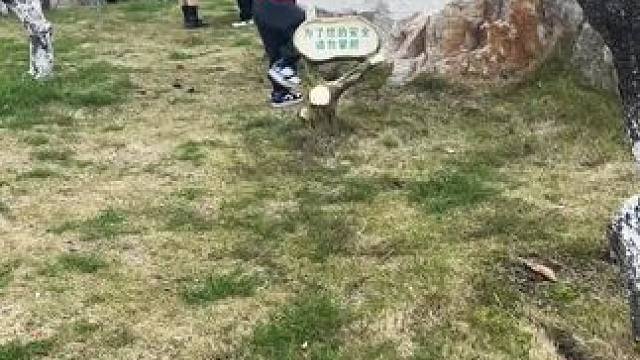 我发布了一个新视频，快来围观吧！