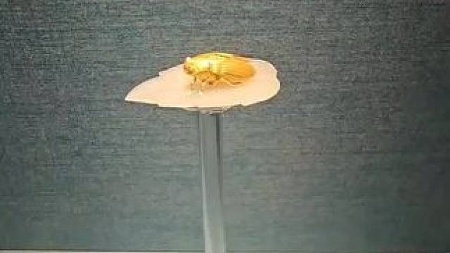 我发布了一个新视频，快来围观吧！