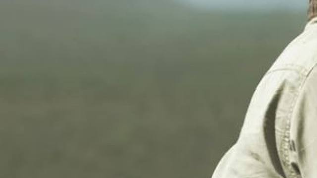 #好剧推荐 怎么办？碰到了狮子