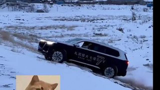 星途汽车 #所到之处皆为星途 #星途汽车 #星途汽车3周年 #星途汽车终身质保