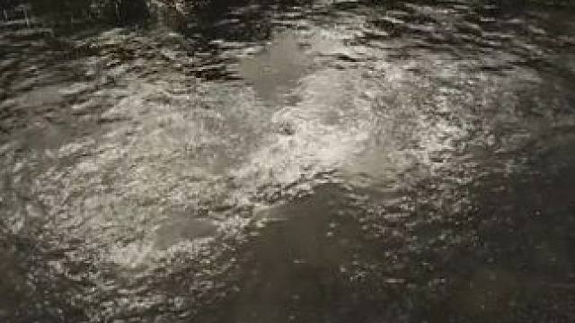 我发布了一个新视频，快来围观吧！