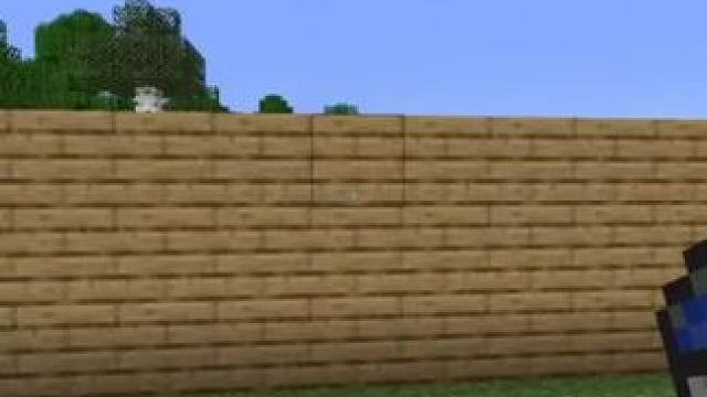 #Minecraft #我的世界 #方块侦探事务所