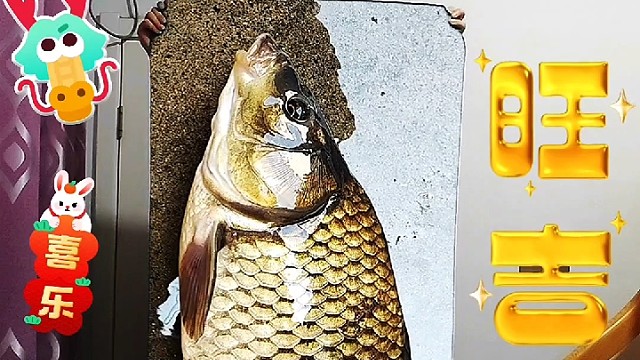 元宵节祝福大家节日快乐！年年有鱼！平安！健康！吉祥如意！龙年大吉大利！#元宵节 #祝福大家都平安健康