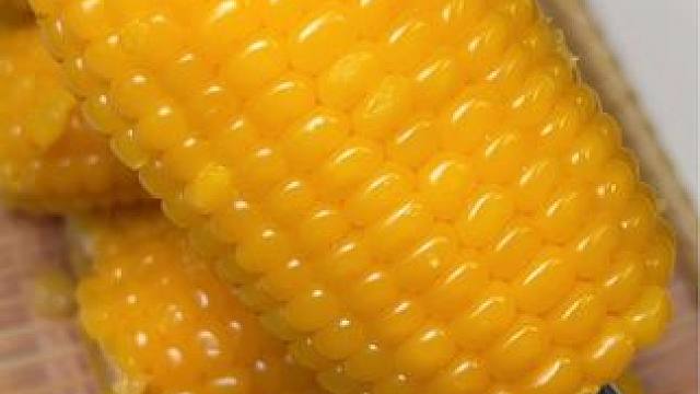 玉米当代餐真是太好使了哈哈哈哈哈#糯玉米 #谁懂这一口的好吃程度 #东北粘玉米 #玉米 #粗粮