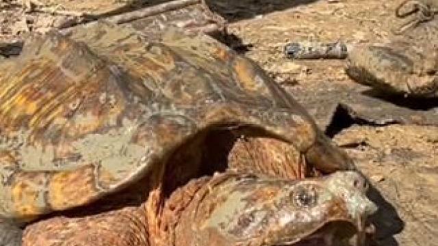 野生动物零距离~