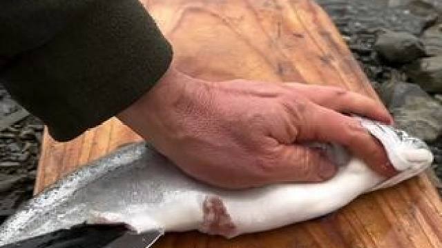 露营吃鱼#露营报告 #露营美食报告