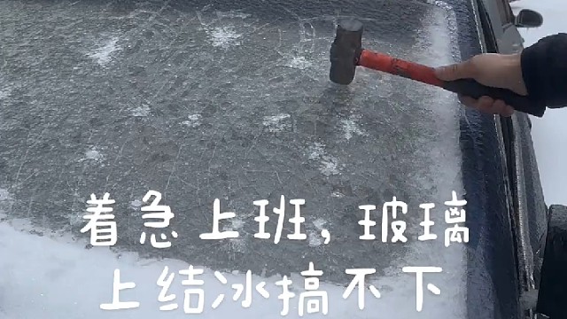 这智商也就告别机动车了哈哈