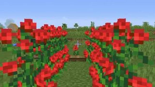 我发布了一个新视频，快来围观吧！