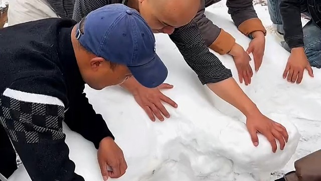 人家杀猪，你杀雪猪
