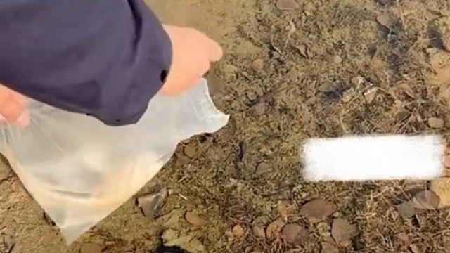 这哪能活的了，糟蹋了，好漂亮的鱼