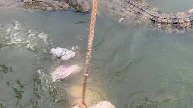 我发布了一个新视频，快来围观吧！