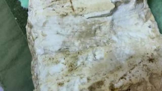 我发布了一个新视频，快来围观吧！