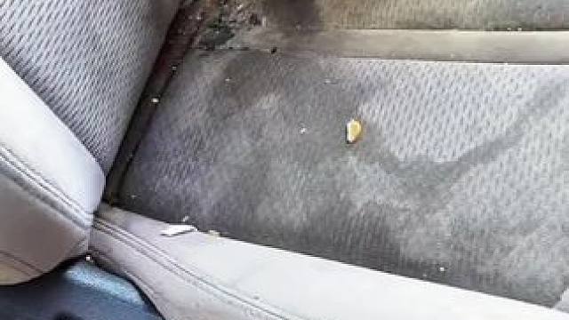 我发布了一个新视频，快来围观吧！