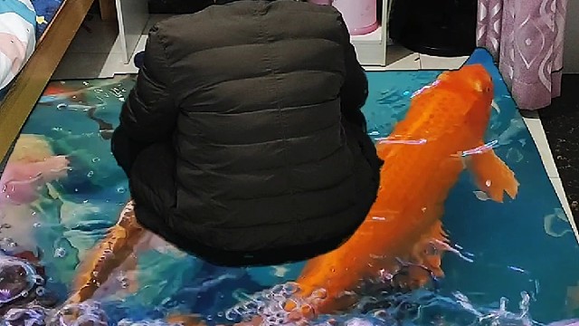我家的锦鲤地毯