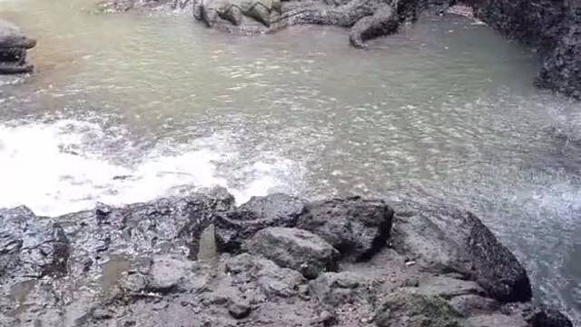 这是某种意义上的石像生，周边绝对有大墓