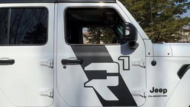 你可以往回看，但别往回走