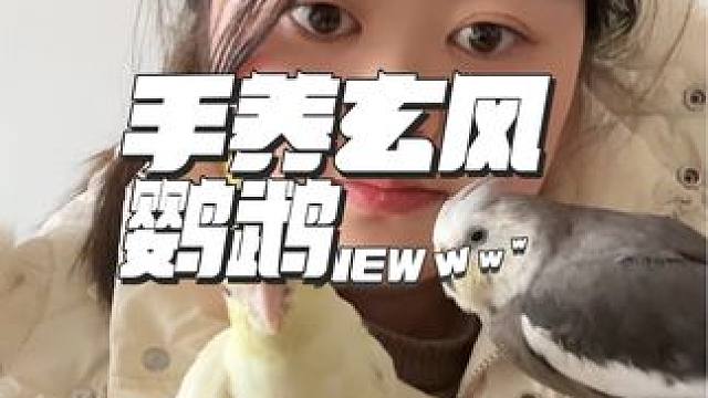 #元宵的仪式感拉满 
它两肯定不知道为了
他们健康付出了多少
#玄风鹦鹉 #家养宠物 #手养鹦鹉 #