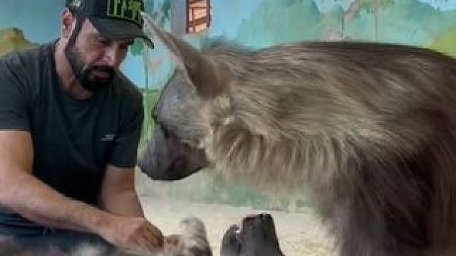 野生动物零距离~