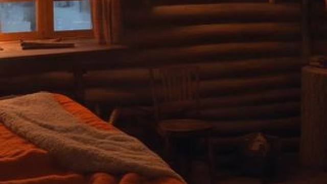 暴风雪夜，在温暖的猎人小屋里，伴着风雪，和噼啪响的炉火入睡 #白噪音 #助眠声音 #睡眠音乐 #催眠