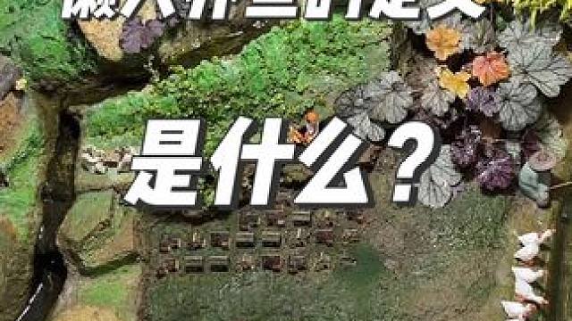 懒人养鱼的定义是什么？#古法养鱼 #庭院鱼池 #观赏鱼 #生态缸 #鱼缸里的大自然