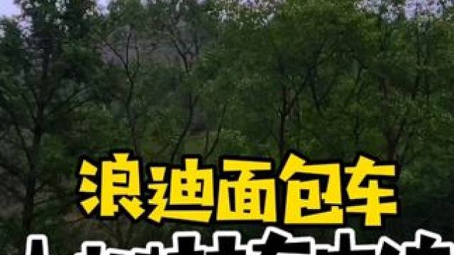 开这几万的面包车改装的露营车小树林车中泊#vanlife #户外露营 #在玩一种很新的户外 #露营车