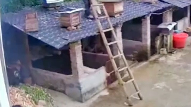 那梯子就有问题，下面打滑