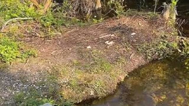 钓鱼的乐趣只有钓鱼人懂~