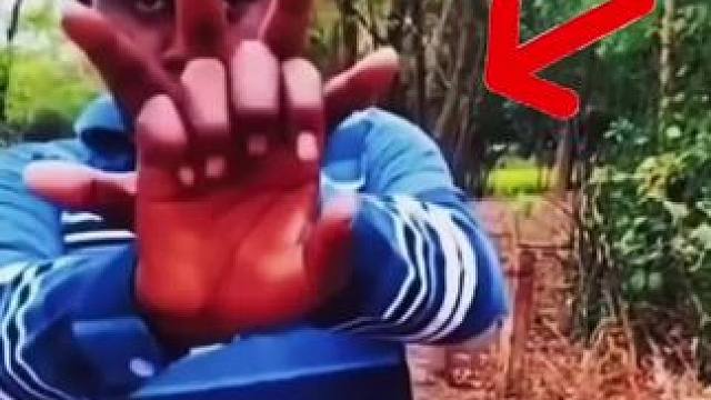 #魔术教学 #给大家变个魔术 #教你一招 #每天学一招 手掌穿越术