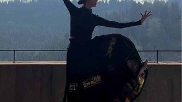 听说变装会更惊艳些 #琵琶行 #舞蹈 #翻跳