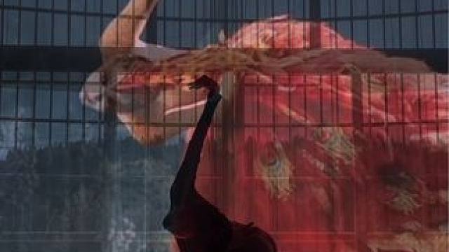 浅试一下 #全网挑战杨丽萍凤舞