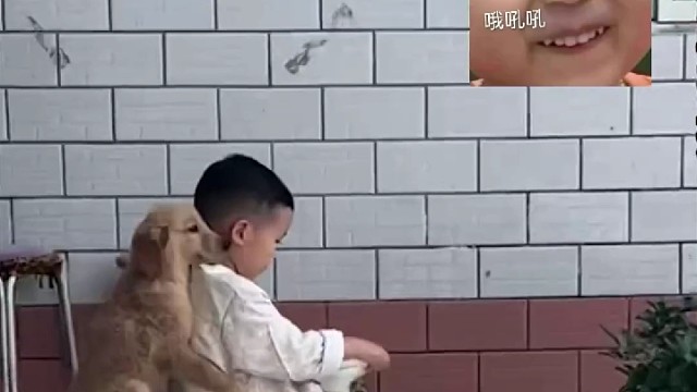 搞笑哦哦哦哦哦（・∀・）