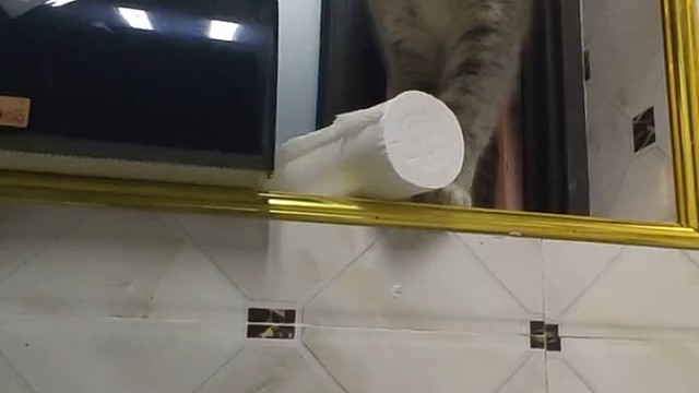 我和我的精神寄托