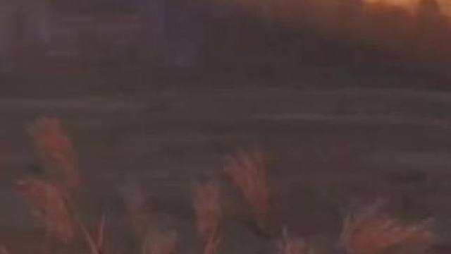 #游戏 #端游 #手游 #王权之忆 #下载教程