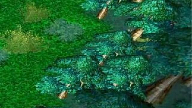 （三）大熊原声大碟，龙虎杯赛前训练，17杀暴力蚂蚁