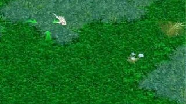 （三）大熊原声大碟，龙虎杯赛前训练，飘逸仙女龙