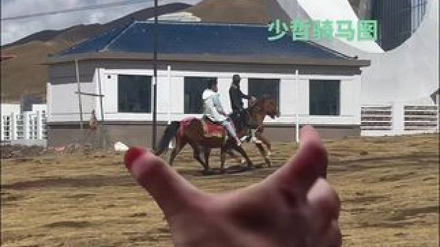 不巧被少哲发现了我的身份